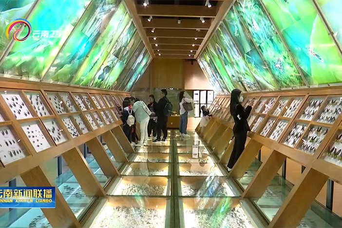 【云南卫视】“遇见科学-预见未来” 我院第十九届公众科学日 昆明活动丰富多彩